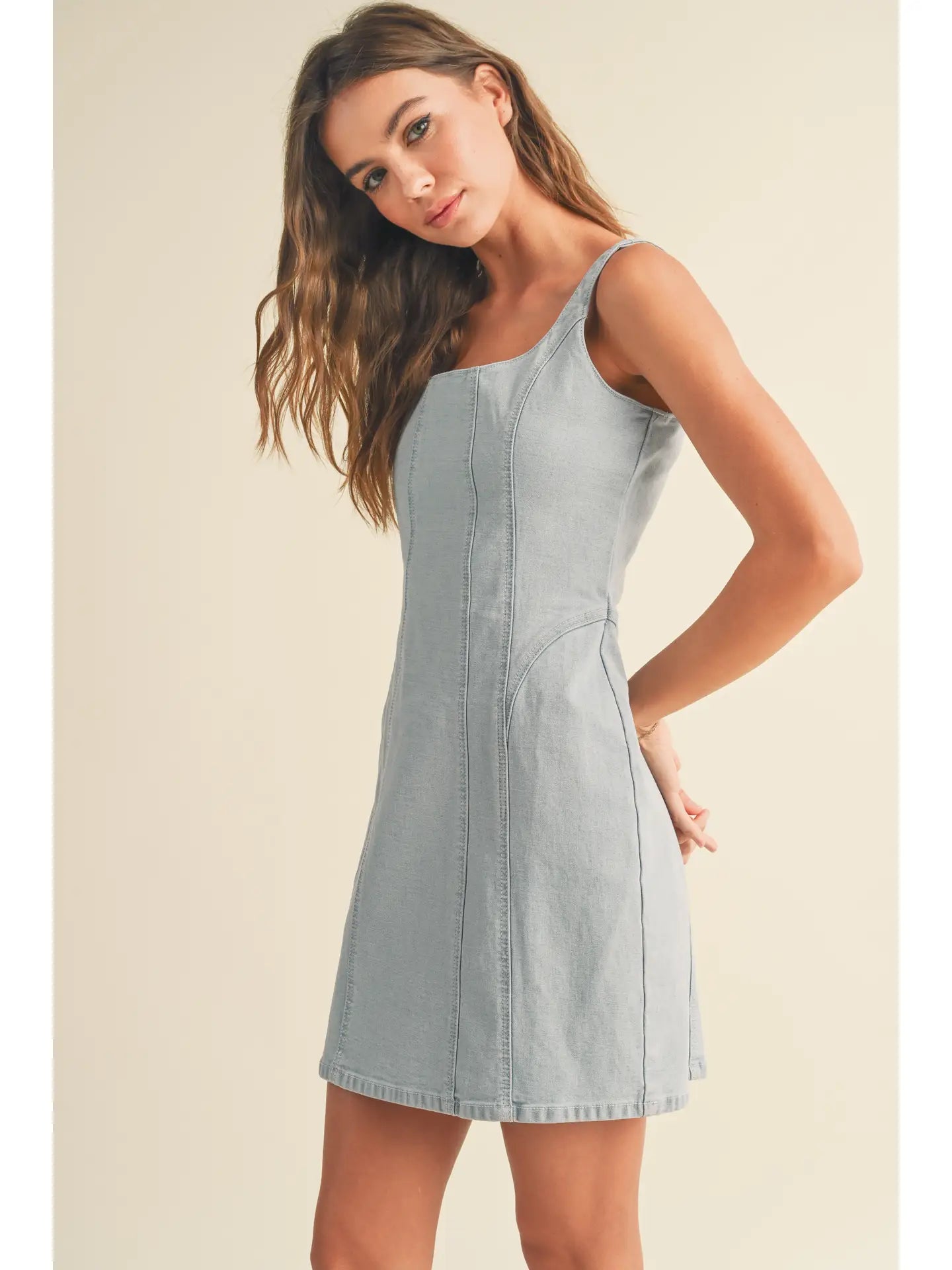 Bailey Tank Denim Dress