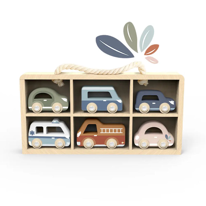Car Display Case with Cars