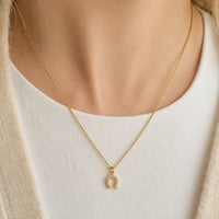 Nikki Smith Lucky Horseshoe Necklace
