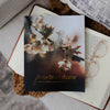 Free From Shame Book