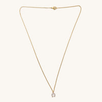 Nikki Smith Lucky Horseshoe Necklace