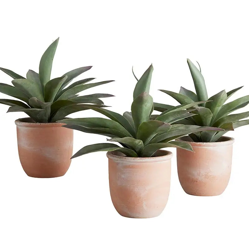 Artificial Plant in Clay Pot