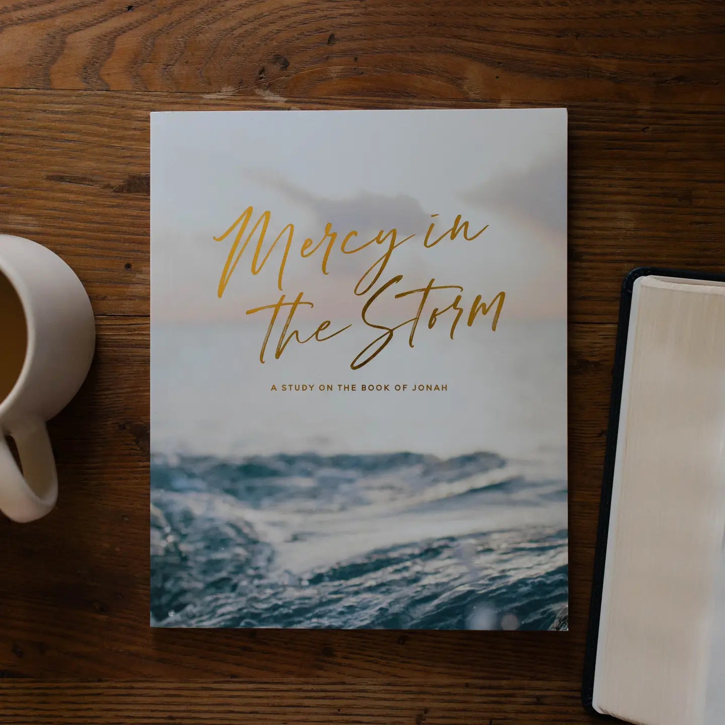 Mercy in the Storm Book