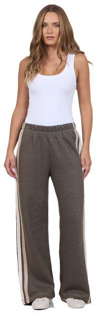 Brown Twill Pants with Stripe