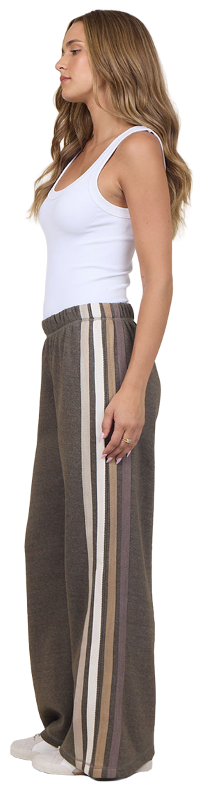 Brown Twill Pants with Stripe