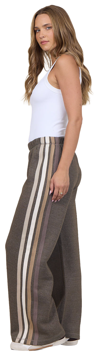 Brown Twill Pants with Stripe