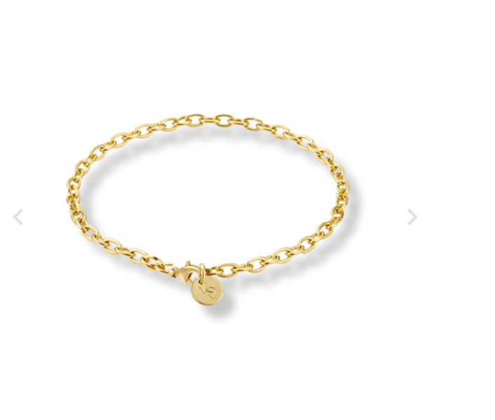 Link Charm Bracelet