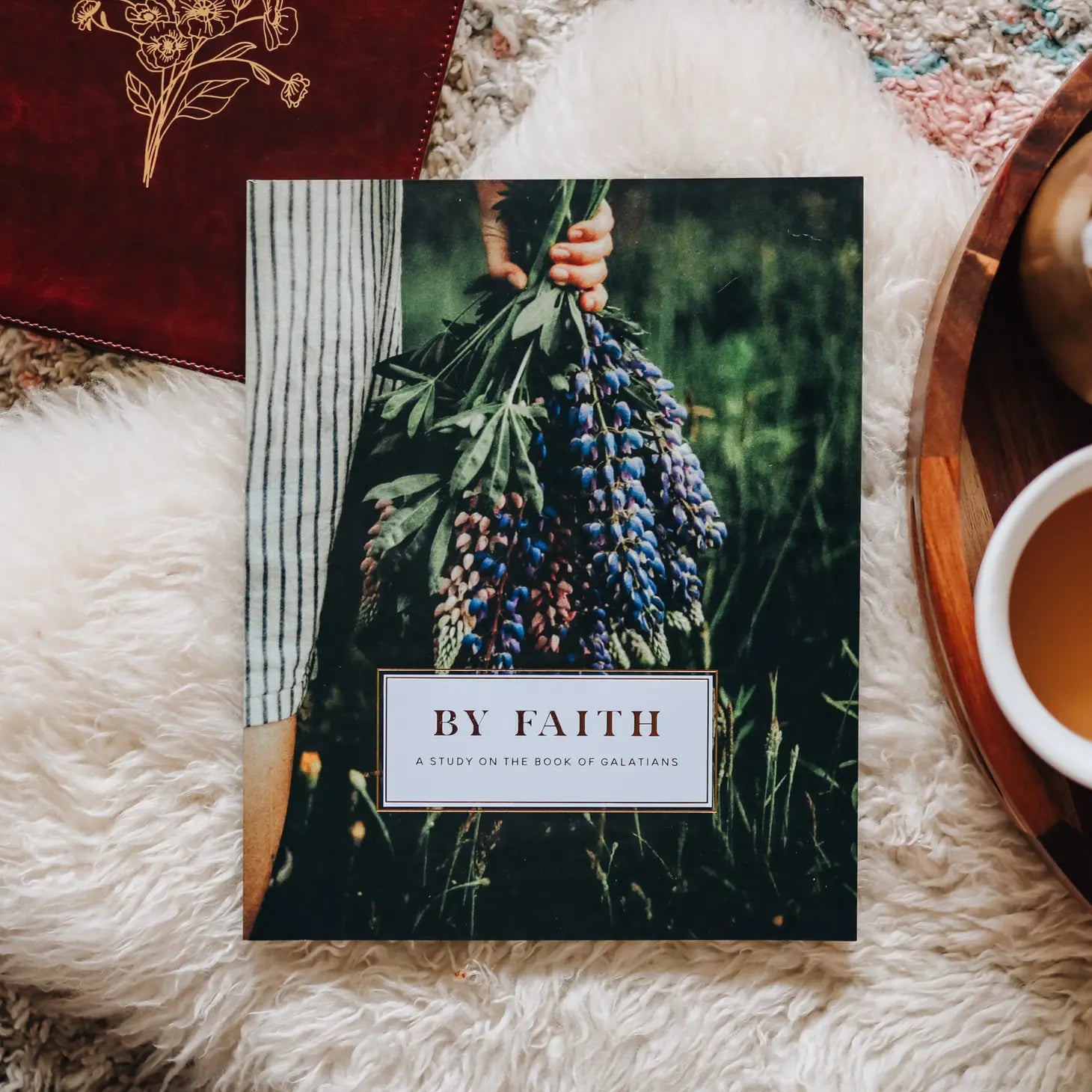 By Faith - Galatians Study