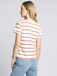 Asher Tshirt-Brnt Orange & Wht