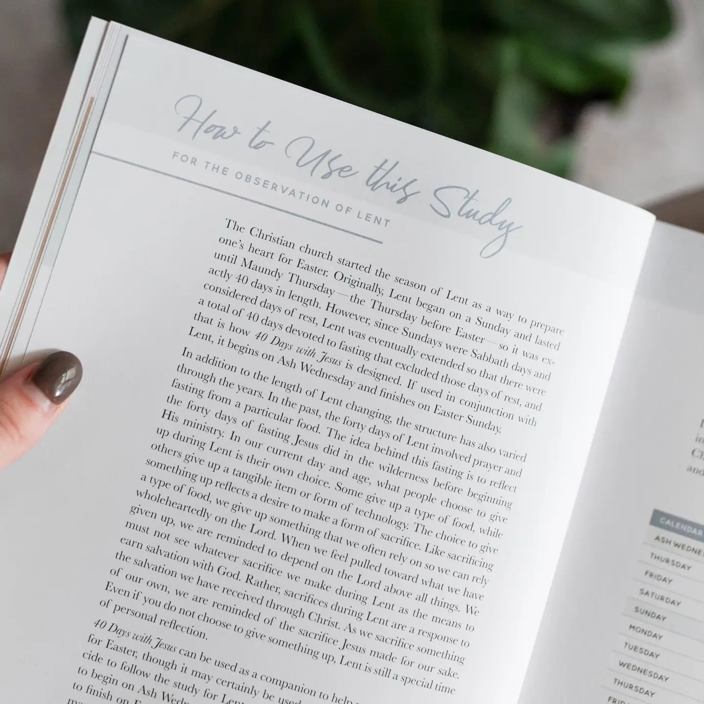 40 Days With Jesus Book