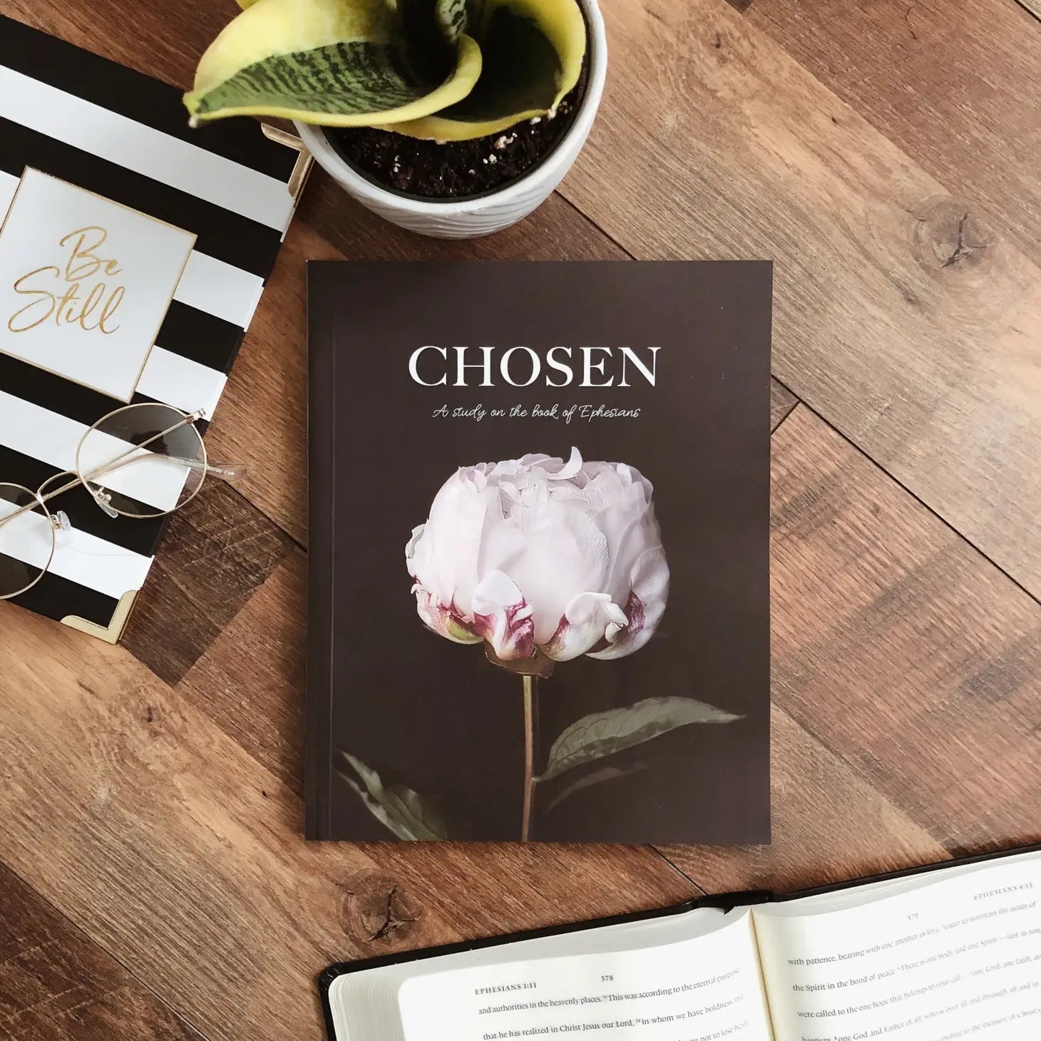 Chosen - Study of Ephesians