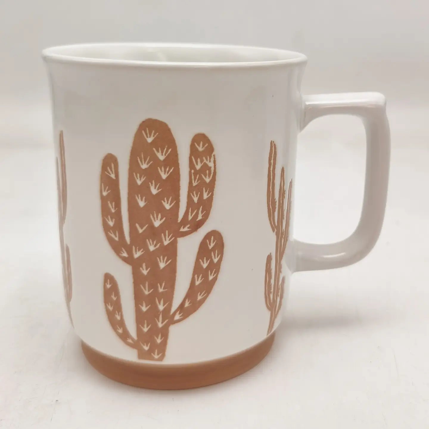 Sahuaro Valley White Mug