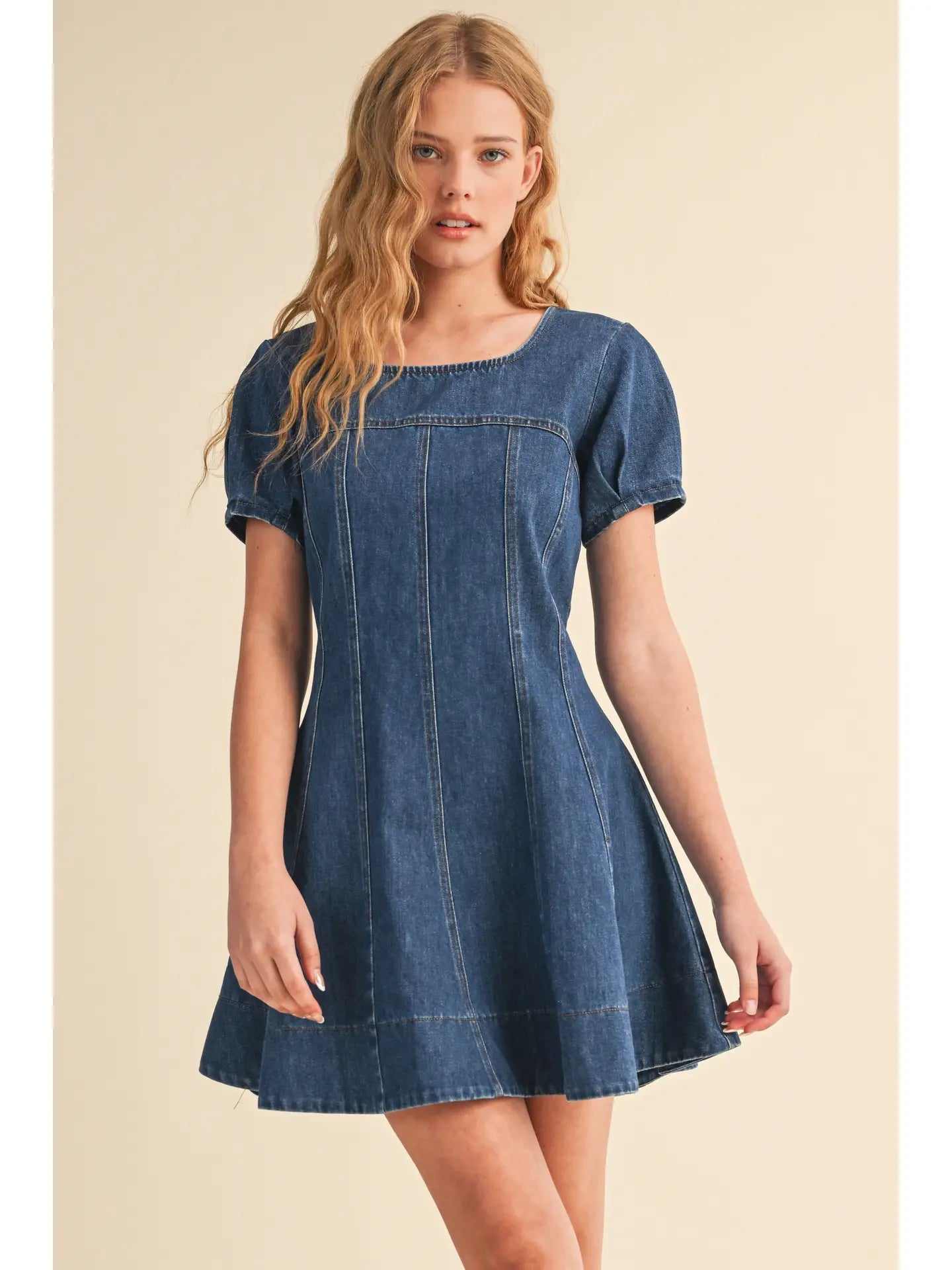Peyton Denim Dress