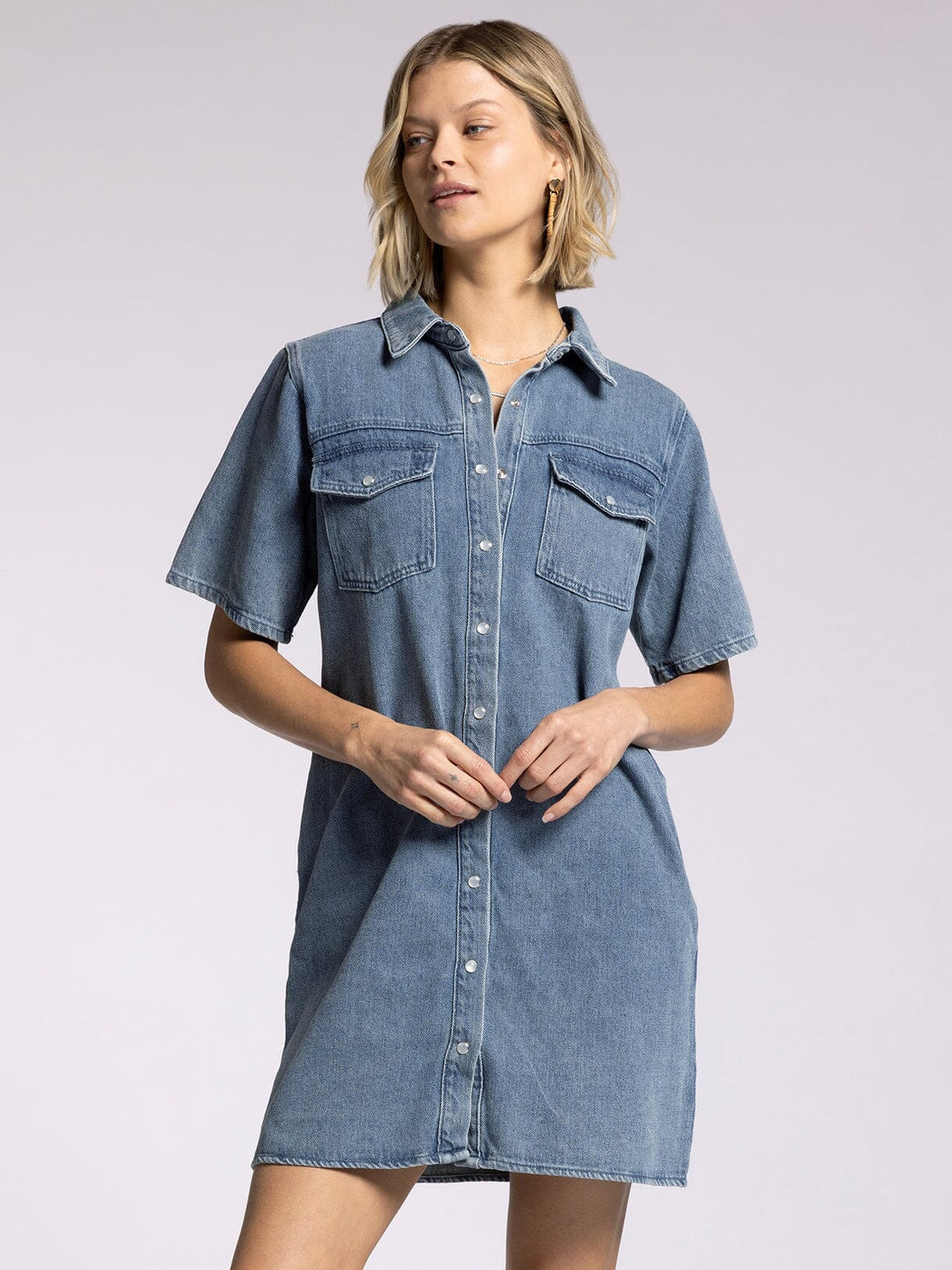 Phoenix Denim Dress