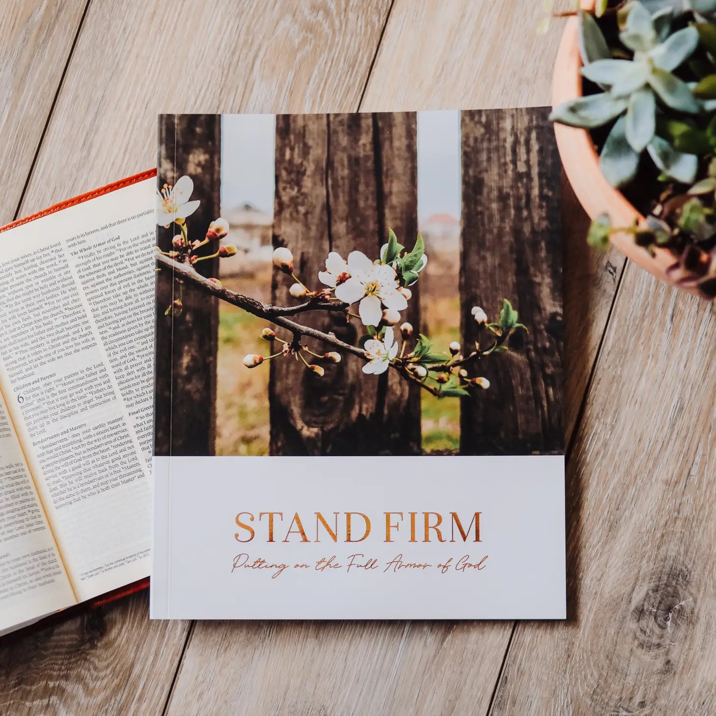 Stand Firm Study Book