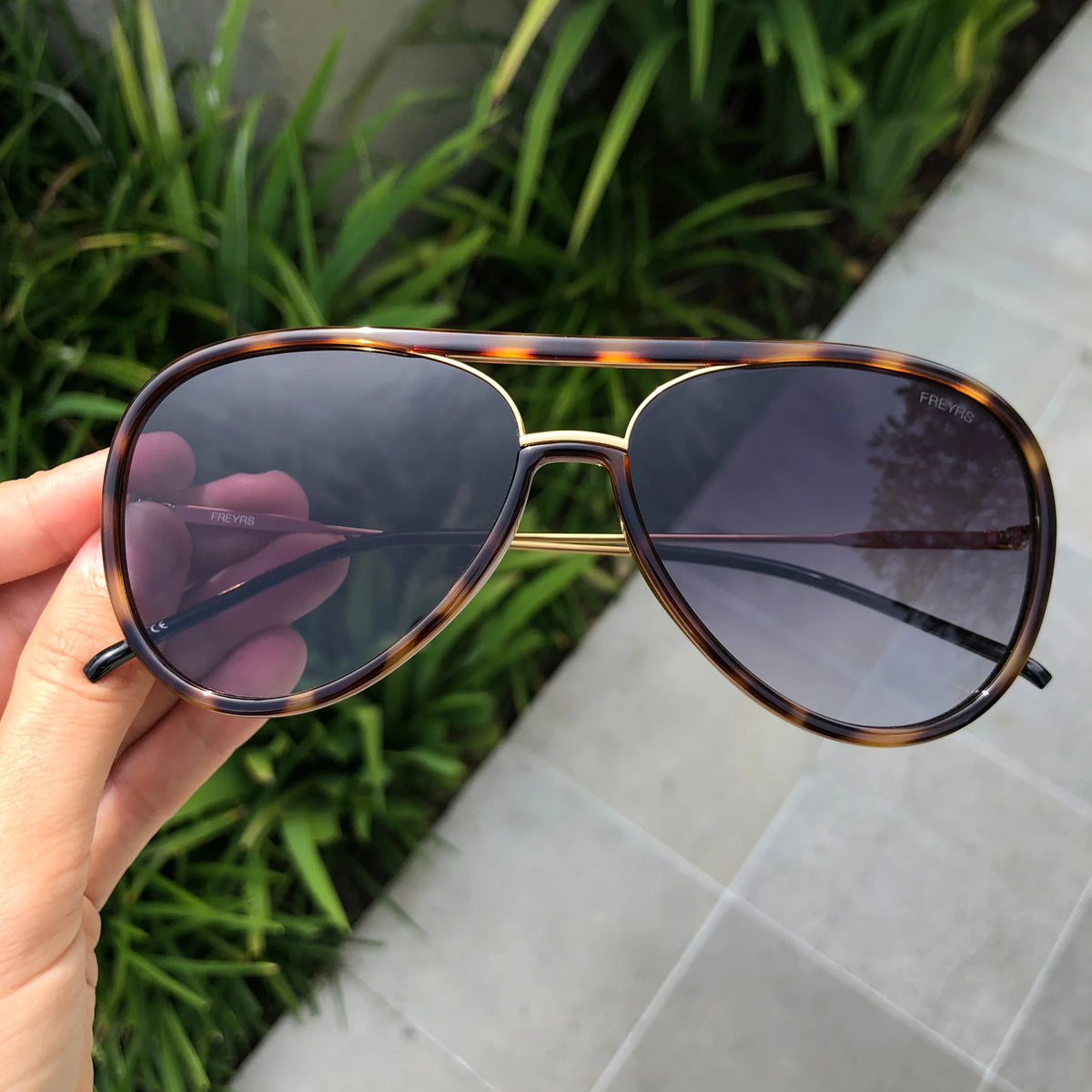 FREYRS - Shay Tortoise/Gray