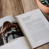 Stand Firm Study Book
